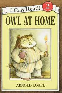 Image of Owl at home