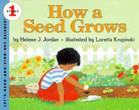 Image of How seed grows