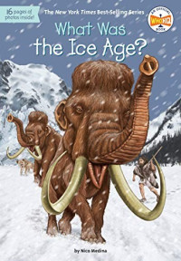 Image of What was the ice age?