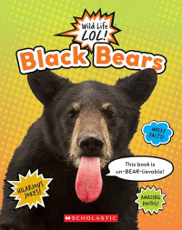 Image of Black bears