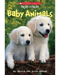 Image of Baby animals