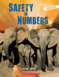 Image of Safety in numbers