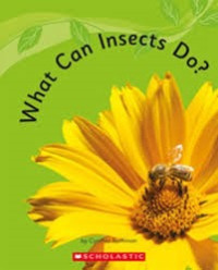 Image of What can insects do?