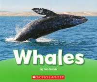 Image of Whales