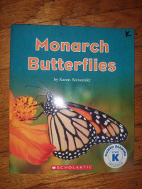 Image of Monarch butterflies