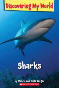 Image of Discovering my world: sharks