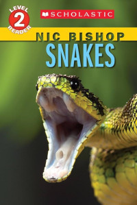 Image of Snakes