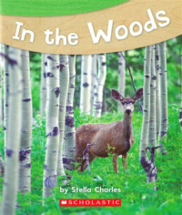 Image of In the woods