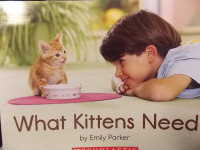 Image of What kittens need