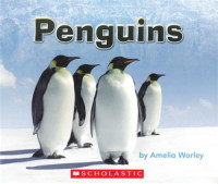 Image of Penguins