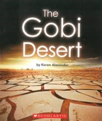 Image of The gobi desert
