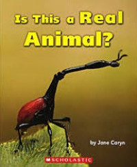 Image of Is this a real animal?