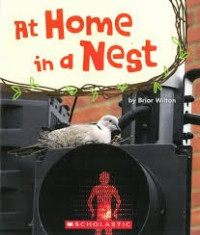 Image of At home in a nest