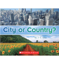 Image of City or country?