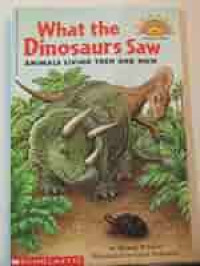 Image of What the dinosaurs saw