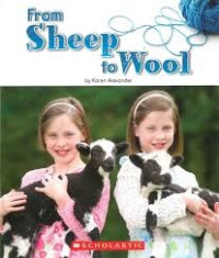 Image of From sheep to wool