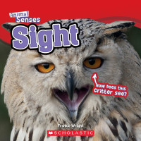 Image of Sight