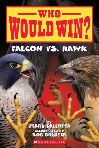 Image of Who would win: Falcon vs. hawk