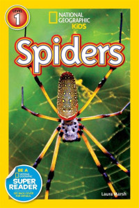 Image of Spiders
