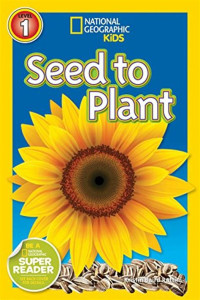 Image of Seed to plant