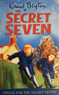 Image of Shock for the secret seven