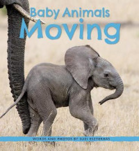 Image of Baby animals moving