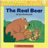 Image of The real bear