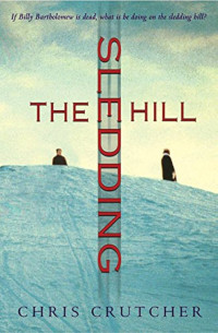 Image of The Sledding Hill