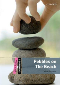 Image of Quick starter: pebbles and the beach