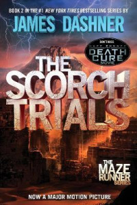 Image of The scorch trials