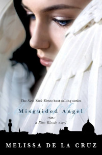 Image of Misguided angel: a blue bloods novel