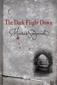 Image of The dark flight down