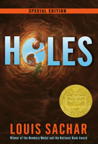 Image of Holes